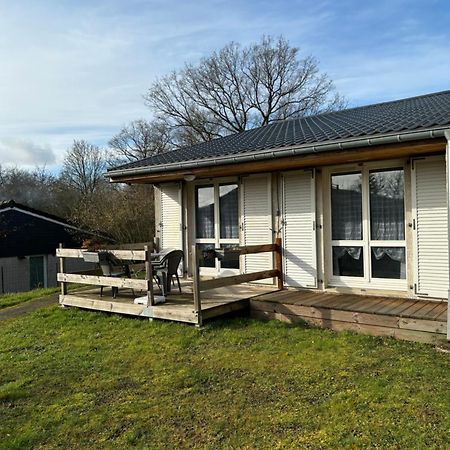 Studio Albert Avec Terrasse A Proximite De Metz Eksteriør billede